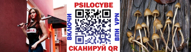 kraken зеркало Дедовск Псилоцибиновые грибы GOLDEN TEACHER