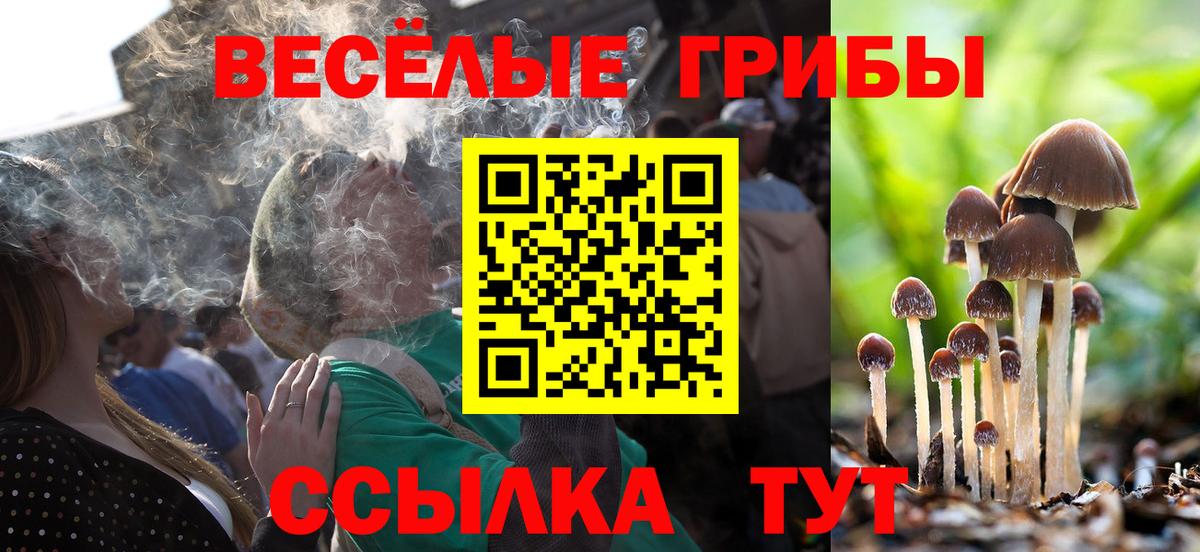 купить  сайты  Псилоцибиновые грибы Psilocybine cubensis  Вход с VPN  Дедовск  Галлюциногенные грибы GOLDEN TEACHER 