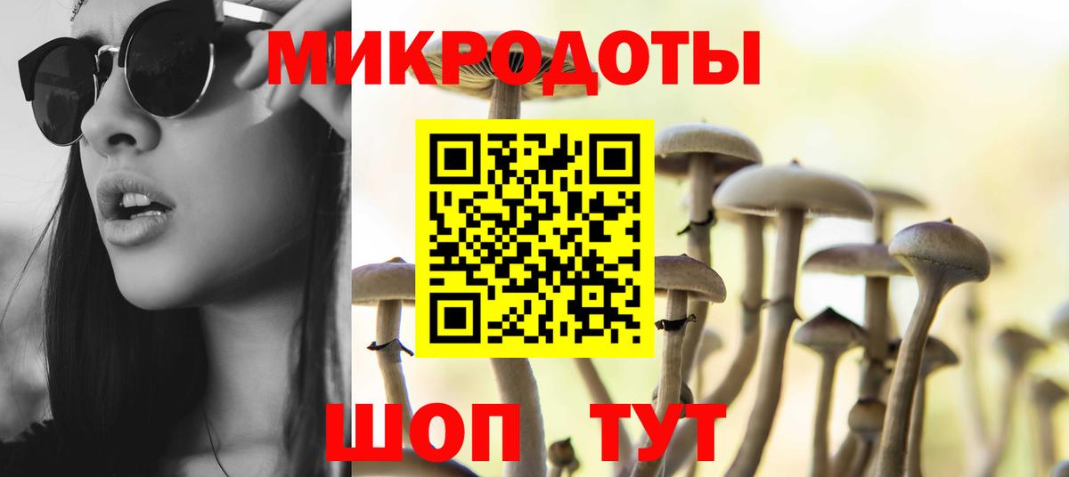 Псилоцибиновые грибы мицелий Дедовск
