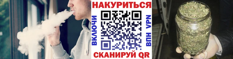 Конопля сатива  Дедовск 